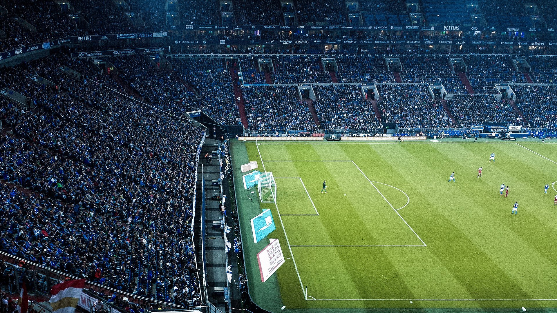 欧洲绿茵与亚洲球台的双重奏,法国队轻取波兰,张本智和闪耀赛场