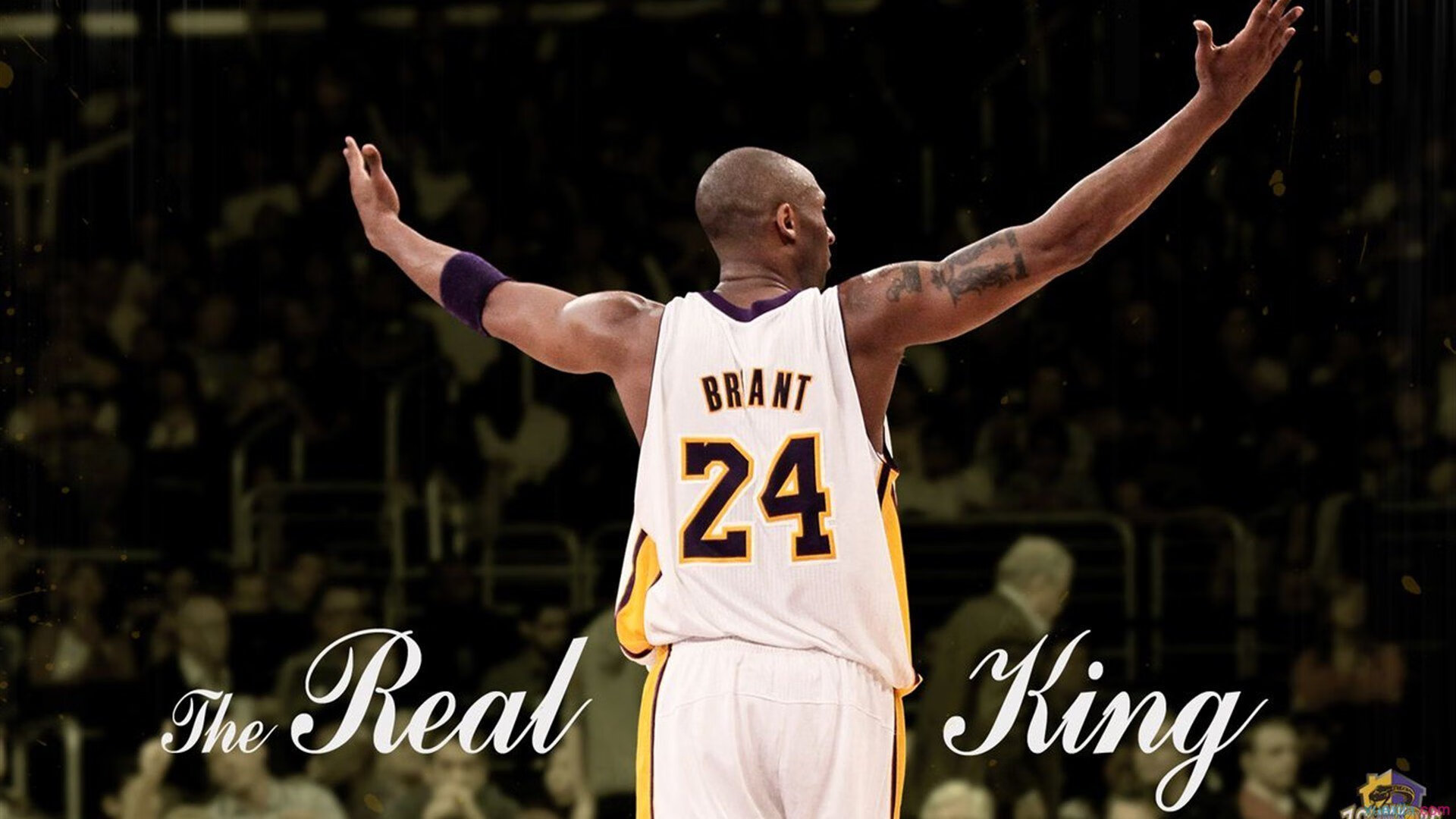 九游VIP-逆转风暴中的定海神针，陶汉林统治全场，快船翻盘公牛